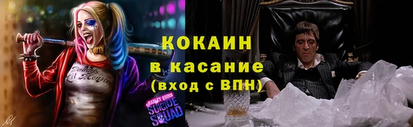 ПСИЛОЦИБИНОВЫЕ ГРИБЫ Абаза