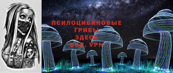 ПСИЛОЦИБИНОВЫЕ ГРИБЫ Абаза
