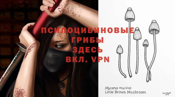 ПСИЛОЦИБИНОВЫЕ ГРИБЫ Абаза