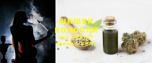 ПСИЛОЦИБИНОВЫЕ ГРИБЫ Абаза