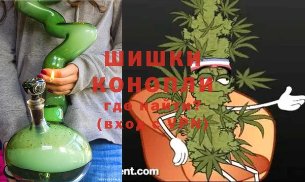ПСИЛОЦИБИНОВЫЕ ГРИБЫ Абаза